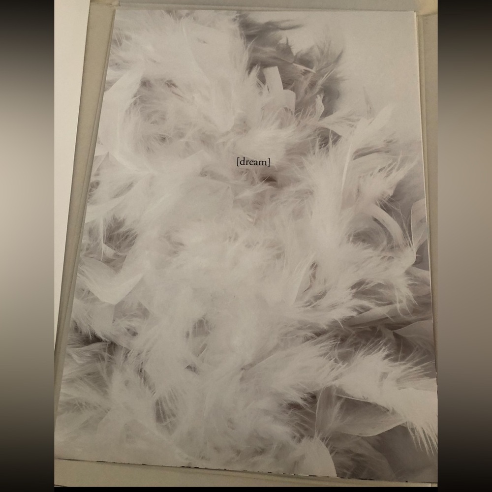Desenio The Dream Poster with Frame